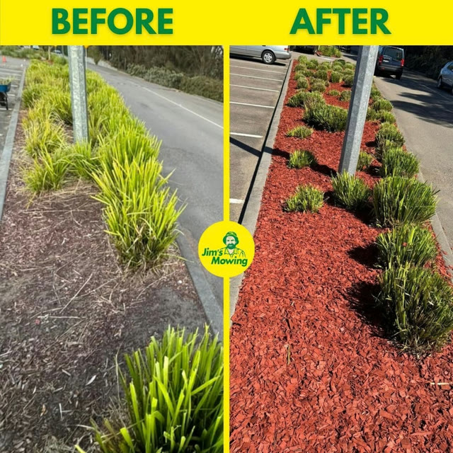 Social post: Before and after garden bed